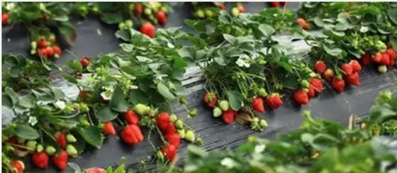 &ldquo;情暖职工、回馈社会&rdquo;工会会员内购活动又来啦！