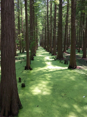 公司工会组织2019年度先进女职工活动