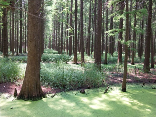 公司工会组织2019年度先进女职工活动