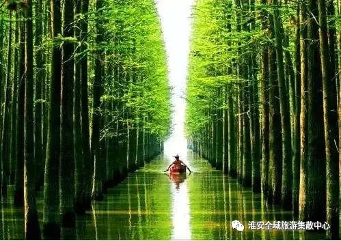 我要旅游