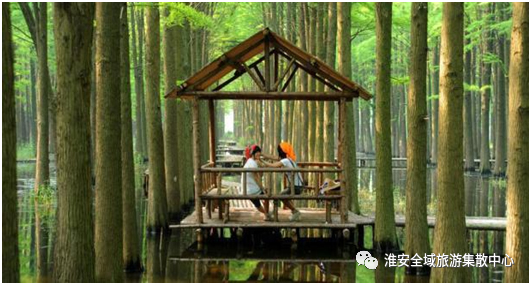 我要旅游