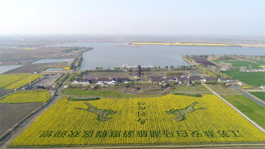 我要旅游