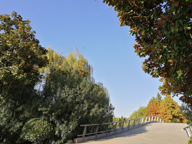 摄影：钵池山秋韵（谢东海）