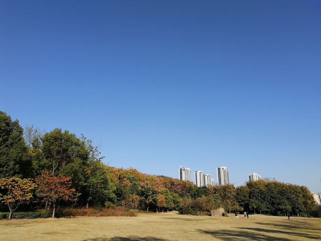 摄影：钵池山秋韵（谢东海）