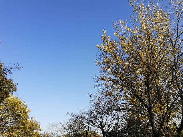 摄影：钵池山秋韵（谢东海）