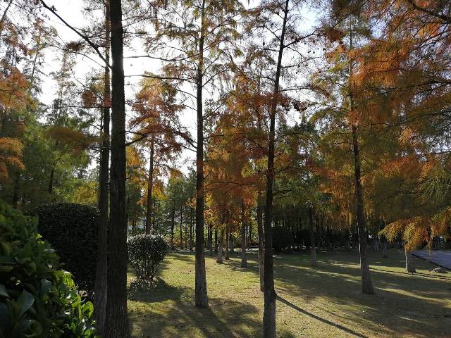 摄影：钵池山秋韵（谢东海）